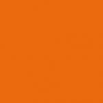 RAL2012 Zalmoranje Decosier