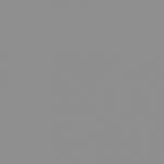 RAL9007 Grijs Alu. kleurig Decosier