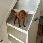 Kast onder schuin dak